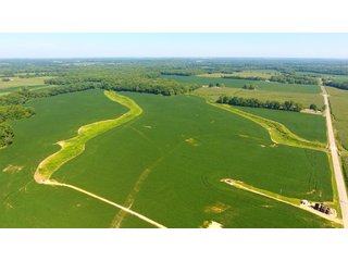TRACTS 2 & 3 - LAND AUCTION - 1,193+/- ACRES IN 14 TRACTS IN PIKE & GIBSON COUNTY, INDIANA